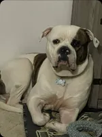 processed/5cc9f81a-7eef-42a5-bc7b-569f755c1058/listing/fbf8b7f5-76ed-4ec9-9b53-d40d12140256/9c12b323-3174-445b-a455-fe335c19079c