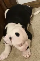 processed/5cc9f81a-7eef-42a5-bc7b-569f755c1058/listing/fbf8b7f5-76ed-4ec9-9b53-d40d12140256/cf619b19-bd1d-4f91-88dc-5d3d8de0e6cb