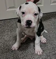 processed/5cc9f81a-7eef-42a5-bc7b-569f755c1058/listing/fbf8b7f5-76ed-4ec9-9b53-d40d12140256/d97e9eae-612f-4705-81cd-9e84caf56242