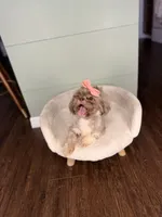 processed/5ccc8e80-1009-4ce7-a788-285fcffd7831/listing/52c55b51-f675-4106-9588-8c77c3d2792b/04e1a523-c07a-4cea-a464-4ae25580e037