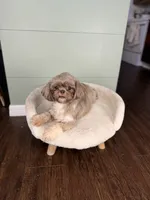 processed/5ccc8e80-1009-4ce7-a788-285fcffd7831/listing/52c55b51-f675-4106-9588-8c77c3d2792b/3db0190e-b4ce-476c-bf55-8b656cc64395