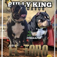 processed/5cd76c3b-6c8c-49d8-a624-4e8c7a96420e/facility/065e57c3-3d14-4d78-8abe-b1d03a35bdf8