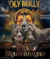 processed/5cd76c3b-6c8c-49d8-a624-4e8c7a96420e/facility/502e85e4-35f3-482f-938f-e655651b9ff0