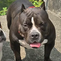 processed/5cd76c3b-6c8c-49d8-a624-4e8c7a96420e/facility/8648d004-b036-4438-a595-8d312234a2e9