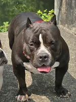 processed/5cd76c3b-6c8c-49d8-a624-4e8c7a96420e/facility/8648d004-b036-4438-a595-8d312234a2e9