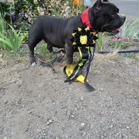 processed/5cd76c3b-6c8c-49d8-a624-4e8c7a96420e/facility/953de1d0-e23d-40b9-a30d-d71d6a2d62e6