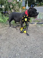 processed/5cd76c3b-6c8c-49d8-a624-4e8c7a96420e/facility/953de1d0-e23d-40b9-a30d-d71d6a2d62e6