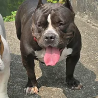 processed/5cd76c3b-6c8c-49d8-a624-4e8c7a96420e/facility/a5aa1104-c422-4dc5-811c-527e6f751bbc