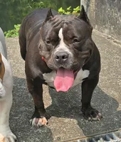 processed/5cd76c3b-6c8c-49d8-a624-4e8c7a96420e/facility/a5aa1104-c422-4dc5-811c-527e6f751bbc