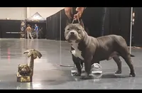 processed/5cd76c3b-6c8c-49d8-a624-4e8c7a96420e/facility/fb56dcc7-5937-4232-b746-87de01c3f77e