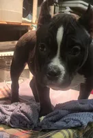 processed/5cd76c3b-6c8c-49d8-a624-4e8c7a96420e/listing/0366f472-f92e-4a89-b7ef-e7364a015bfa/6b9cc4d8-e321-450d-8c5d-917b3bbe445a