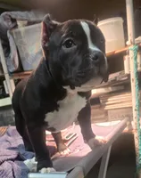 processed/5cd76c3b-6c8c-49d8-a624-4e8c7a96420e/listing/0366f472-f92e-4a89-b7ef-e7364a015bfa/c6bb4d58-e5af-48f7-891d-7f575ebad188