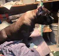 processed/5cd76c3b-6c8c-49d8-a624-4e8c7a96420e/listing/6e80c702-5f71-49a9-8384-c9d79992157d/5352bf95-56e0-4875-a70a-8648271bc781