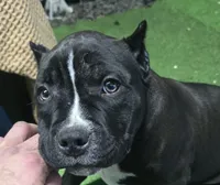 processed/5cd76c3b-6c8c-49d8-a624-4e8c7a96420e/listing/6e80c702-5f71-49a9-8384-c9d79992157d/664001c0-837d-4645-95c6-ae74aafacd19