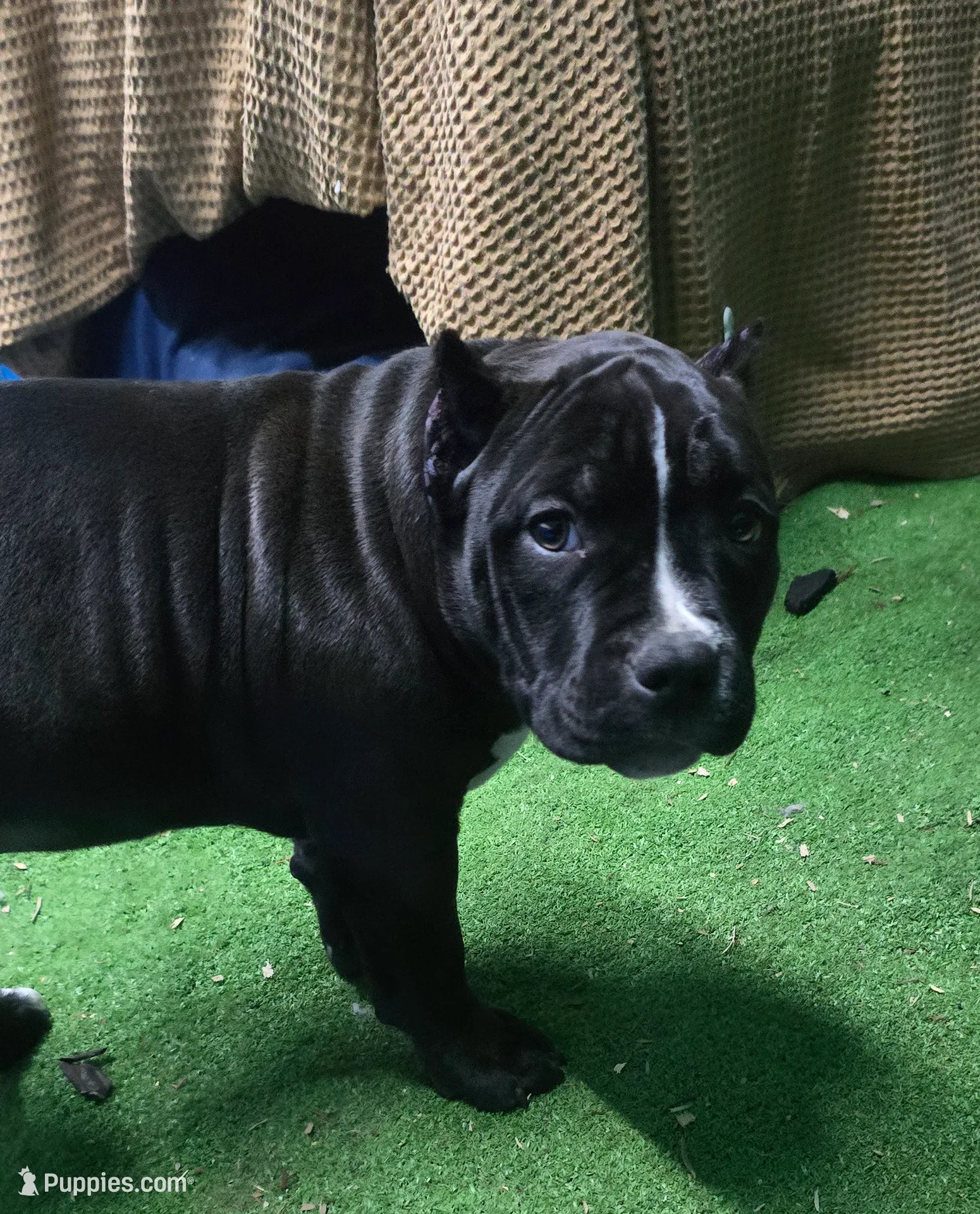 processed/5cd76c3b-6c8c-49d8-a624-4e8c7a96420e/listing/6e80c702-5f71-49a9-8384-c9d79992157d/af6850eb-3787-4636-a918-06e23d08956e