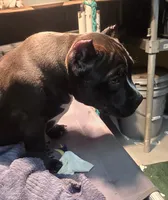 processed/5cd76c3b-6c8c-49d8-a624-4e8c7a96420e/listing/6e80c702-5f71-49a9-8384-c9d79992157d/c27a7e35-134f-43bf-bc6c-376d3257bddb