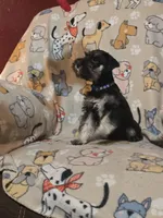 processed/5ce06772-9879-4331-82a9-dfe9c0a27bfe/listing/a9d91279-3e0e-4ed8-bf6d-7054bed11d93/092622a6-ac7d-470f-8bce-d35471e1402e