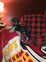 processed/5ce06772-9879-4331-82a9-dfe9c0a27bfe/listing/a9d91279-3e0e-4ed8-bf6d-7054bed11d93/1359572b-128a-461a-bd8e-1fc99fbe14bc