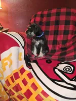 processed/5ce06772-9879-4331-82a9-dfe9c0a27bfe/listing/a9d91279-3e0e-4ed8-bf6d-7054bed11d93/3137ffa0-38aa-47fe-b439-38a443413437