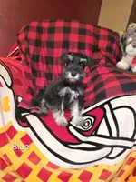 processed/5ce06772-9879-4331-82a9-dfe9c0a27bfe/listing/a9d91279-3e0e-4ed8-bf6d-7054bed11d93/79489f2a-ae69-4eae-bb37-1978994f45b2