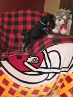 processed/5ce06772-9879-4331-82a9-dfe9c0a27bfe/listing/a9d91279-3e0e-4ed8-bf6d-7054bed11d93/86bc9aec-dd0d-49af-89c5-bfc91e3adb07