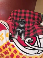 processed/5ce06772-9879-4331-82a9-dfe9c0a27bfe/listing/a9d91279-3e0e-4ed8-bf6d-7054bed11d93/a1296178-d27d-497e-ad13-7677038d49bb