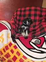 processed/5ce06772-9879-4331-82a9-dfe9c0a27bfe/listing/a9d91279-3e0e-4ed8-bf6d-7054bed11d93/d2c7533d-e4b4-42d1-a885-24aef1f9f623