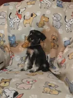 processed/5ce06772-9879-4331-82a9-dfe9c0a27bfe/listing/a9d91279-3e0e-4ed8-bf6d-7054bed11d93/db49ab93-f6e8-41ae-956d-ee37686e1cde