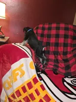 processed/5ce06772-9879-4331-82a9-dfe9c0a27bfe/listing/a9d91279-3e0e-4ed8-bf6d-7054bed11d93/e75e64e9-7e92-43ff-9db8-72767e49414f