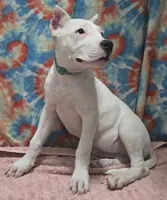 processed/5ce4b4e7-85fc-449b-af10-9709166ceb5f/listing/0416995b-062f-4c3d-97b5-b7940e7e60e4/113166ad-038d-4c9b-bf5c-b6df76f648a3