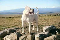 processed/5ce4b4e7-85fc-449b-af10-9709166ceb5f/listing/0416995b-062f-4c3d-97b5-b7940e7e60e4/4b3c2f0b-a740-41bc-aef8-d1db3b6b969d