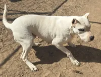 processed/5ce4b4e7-85fc-449b-af10-9709166ceb5f/listing/0416995b-062f-4c3d-97b5-b7940e7e60e4/b30c00c7-1703-4f75-947a-da450eb22394