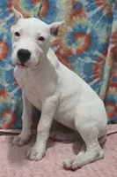 processed/5ce4b4e7-85fc-449b-af10-9709166ceb5f/listing/0416995b-062f-4c3d-97b5-b7940e7e60e4/b351da25-57b2-485e-adf6-921cbc444ca8