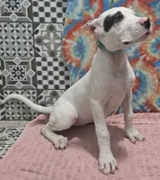 processed/5ce4b4e7-85fc-449b-af10-9709166ceb5f/listing/718e30d6-b72e-455e-8d3d-7d190dbc9529/17192eeb-7533-44b3-af69-0d2ead0470a7