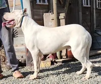 processed/5ce4b4e7-85fc-449b-af10-9709166ceb5f/listing/718e30d6-b72e-455e-8d3d-7d190dbc9529/1f6ff503-e3f1-4fe5-927f-a0267d220bc2