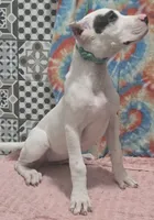 processed/5ce4b4e7-85fc-449b-af10-9709166ceb5f/listing/718e30d6-b72e-455e-8d3d-7d190dbc9529/4d15f67f-b490-4ead-9723-32d8ff48b7a3