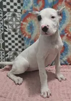 processed/5ce4b4e7-85fc-449b-af10-9709166ceb5f/listing/718e30d6-b72e-455e-8d3d-7d190dbc9529/de0b4618-2247-4504-9b70-b04928ecaaae