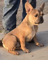 processed/5ce4b4e7-85fc-449b-af10-9709166ceb5f/listing/7a158ff9-a45e-4b99-ad6d-dcaa4fc92524/068e840d-e490-49a1-aa68-a91611fd9a24