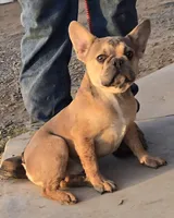 processed/5ce4b4e7-85fc-449b-af10-9709166ceb5f/listing/7a158ff9-a45e-4b99-ad6d-dcaa4fc92524/06d3b9a9-e986-43f8-9a12-ab8f1c79ff26