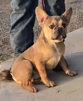 processed/5ce4b4e7-85fc-449b-af10-9709166ceb5f/listing/7a158ff9-a45e-4b99-ad6d-dcaa4fc92524/57b93250-bd08-4ca4-a78f-e2d0bfe4bbac