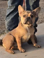 processed/5ce4b4e7-85fc-449b-af10-9709166ceb5f/listing/7a158ff9-a45e-4b99-ad6d-dcaa4fc92524/c930ae99-8105-4128-9f76-43e9725b901b