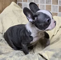 processed/5ce4b4e7-85fc-449b-af10-9709166ceb5f/listing/c0f006b2-56d8-4e87-a076-8cc327316d5b/0bc596cd-ffa0-4fb4-9972-c1e2d132fa7b