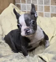 processed/5ce4b4e7-85fc-449b-af10-9709166ceb5f/listing/c0f006b2-56d8-4e87-a076-8cc327316d5b/984876ef-c53b-4097-9603-59032fe836fa