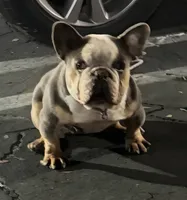 processed/5ce4b4e7-85fc-449b-af10-9709166ceb5f/listing/c0f006b2-56d8-4e87-a076-8cc327316d5b/e40f269a-0100-44b5-98fe-55fc0f546c82