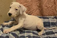 processed/5ce4b4e7-85fc-449b-af10-9709166ceb5f/listing/d5049e10-baaf-4293-9187-eed471917c4b/34e0a5cd-29b2-48c7-b4c5-1f34ab96aa21