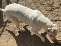 processed/5ce4b4e7-85fc-449b-af10-9709166ceb5f/listing/d5049e10-baaf-4293-9187-eed471917c4b/a8d14267-fcaa-4ce4-978d-676982aa8834