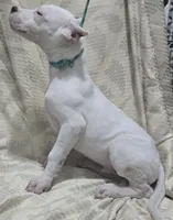 processed/5ce4b4e7-85fc-449b-af10-9709166ceb5f/listing/d5049e10-baaf-4293-9187-eed471917c4b/acad0751-2e6a-4a5e-9a8b-5a5291aabf8e