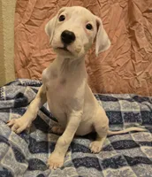 processed/5ce4b4e7-85fc-449b-af10-9709166ceb5f/listing/d5049e10-baaf-4293-9187-eed471917c4b/cebf756d-2274-4f30-8419-81b8ba83e868