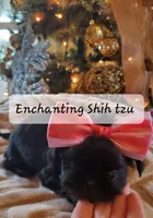 processed/5cece2e9-89b1-4dfc-83be-abd4a978ac29/facility/25f6ab96-2f2b-4523-b915-6194214973ad