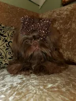 processed/5cece2e9-89b1-4dfc-83be-abd4a978ac29/facility/3bd9a656-e417-45a9-9d8e-2b0efdfc0520